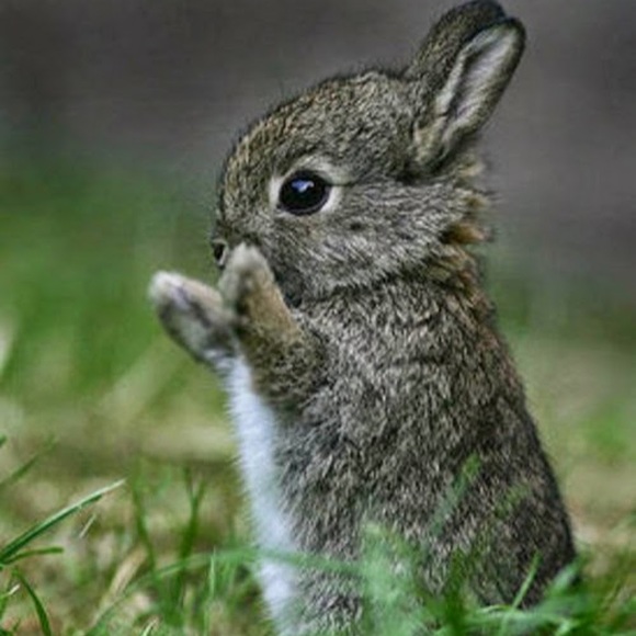 Meet your Posher, Marissa - Picture 1 of 1